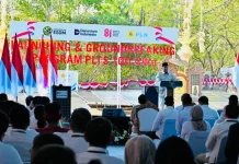 Presiden Luncurkan Program PLTS 100 GWp, Targetkan Tiga Tahun