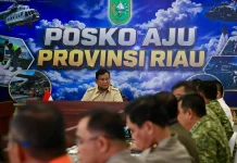 Presiden Pastikan Karhutla Riau Dituntaskan, 15.000 Hektare Ditangani