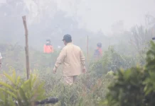 Presiden Pastikan Penanganan Karhutla Berjalan Optimal
