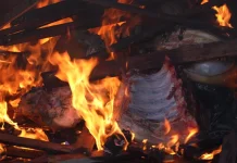 Barantin Musnahkan Daging Babi dan Bebek Ilegal di Papua