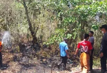 Polres Biak Numfor Tangani Bergerak Cepat Tangani Karhutla di Yendidori