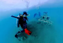 PLN Ubah FABA PLTU Holtekamp Jadi Rumah Biota Laut di Jayapura
