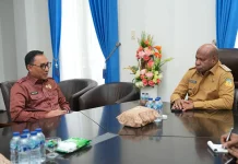 BKN Dorong Pemprov Papua Segera Profiling ASN untuk Manajemen Talenta