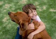 Manfaat Memelihara Hewan Kesayangan Anjing di Rumah