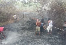 Kebakaran Dekati Permukiman, Petugas Gabungan Bergerak Cepat Padamkan Api