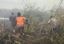 Kebakaran Hutan di Awayanka Berhasil Dipadamkan, Polisi dan Warga Bergerak Cepat