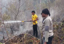 Polres Biak Numfor Padamkan Karhutla Dekat Fasilitas PLN di Kampung Urfu