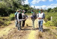 Kejati Papua Usut Dugaan Korupsi Proyek Jalan Rp12,14 Miliar di Boven Digoel