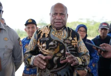 Produksi Padi Papua Capai 12,8 Ton per Hektare