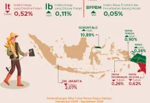 NTP Papua Naik 0,87 Persen pada Agustus 2026