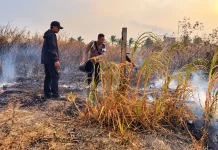 Polisi dan Warga Berhasil Memadamkan Karhutla di Merauke