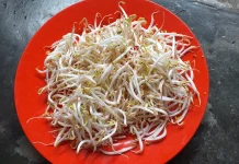 Taoge Kaya Nutrisi yang Bermanfaat bagi Kesehatan