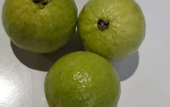 Manfaat Jambu Biji untuk Kesehatan Tubuh