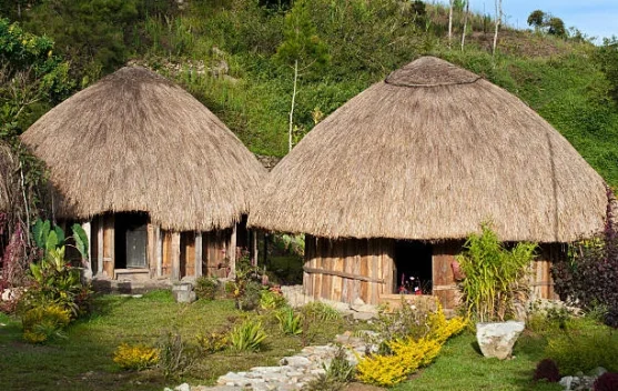 Mengenal Rumah Adat Papua dan Keunikannya
