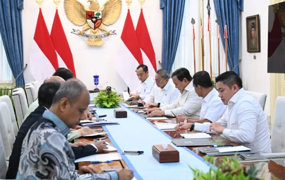 Presiden Pastikan Harga Bahan Pokok Stabil Sepanjang Idulfitri