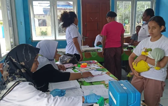 Puskesmas Skouw Fokuskan Layanan Kesehatan Bayi Balita Melalui Posyandu