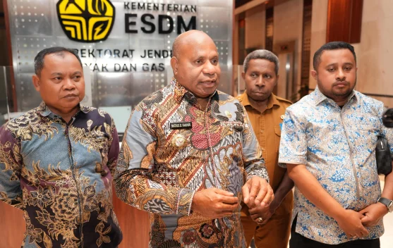 Papua Usulkan PLTS Komunal untuk Wilayah 3T