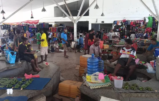 Menghitung Ulang Denyut Ekonomi dari Gerbang RI-PNG