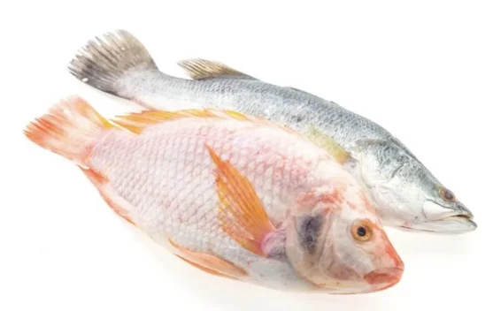 Studi: Ikan Lokal Indonesia Tak Kalah Bergizi dari Salmon