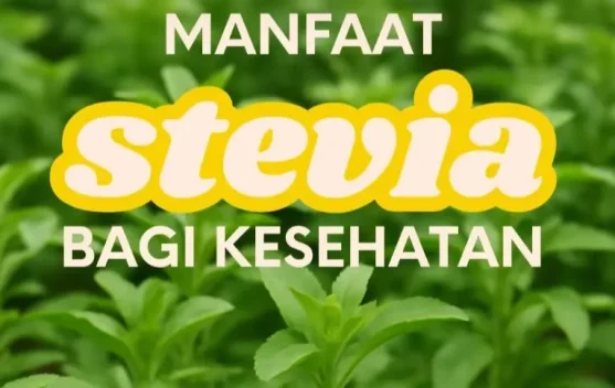 Mengenal Stevia, Pemanis Alami Pengganti Gula
