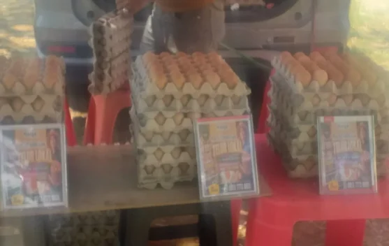 Peternak Ayam Petelur Lokal Jayapura Papua Berharap Tembus Dapur MBG
