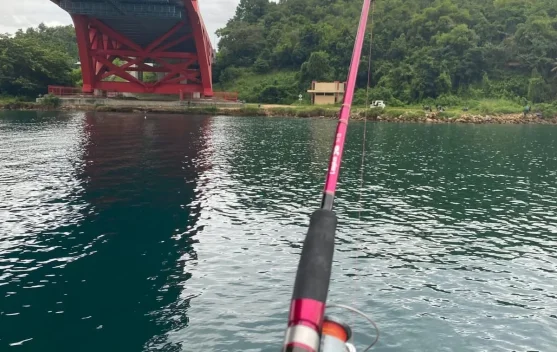 Fakta Menarik Memancing yang Sudah Dilakukan sejak Puluhan Tahun