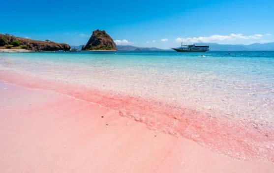 Pesona Pantai Pink yang Wajib Kamu Kunjungi