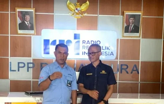 DJP: Pertumbuhan Ekonomi Papua dan Maluku Dorong Penerimaan Pajak