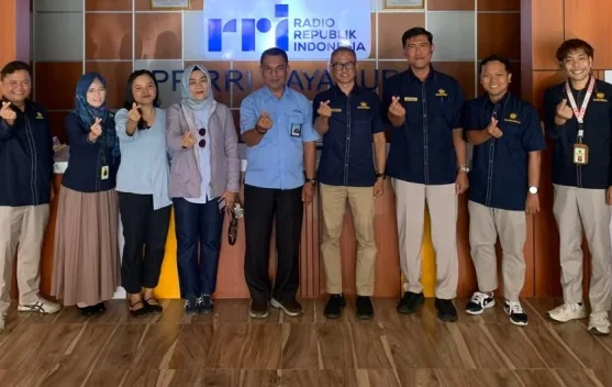 Kepatuhan Pajak Papua Maluku Meningkat, DJP Kejar 10 Besar