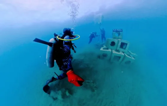 PLN Ubah FABA PLTU Holtekamp Jadi Rumah Biota Laut di Jayapura