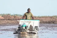 BULOG Dukung Gerakan Tanam Padi Serentak, Perkuat Swasembada Pangan di Merauke