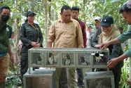 Karantina Papua Selamatkan Puluhan Satwa Endemik dari Perdagangan Ilegal