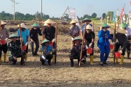 Kodaeral X Canangkan Budidaya Kedelai di Keerom untuk Ketahanan Pangan Nasional