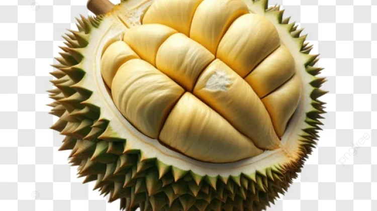 Makanan yang Tak Boleh Dikonsumsi Bersama Durian