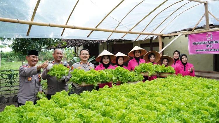 Dukung Ketahan Pangan, Lahan Kosong Polsek Harus Produktif