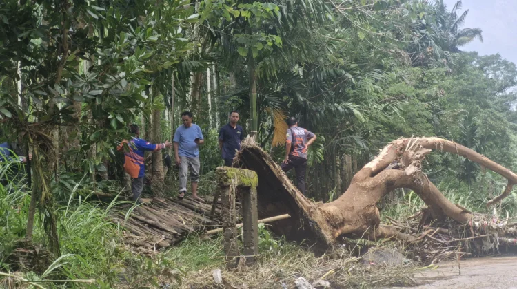 Hujan Deras Picu Belasan Bencana di Bondowoso