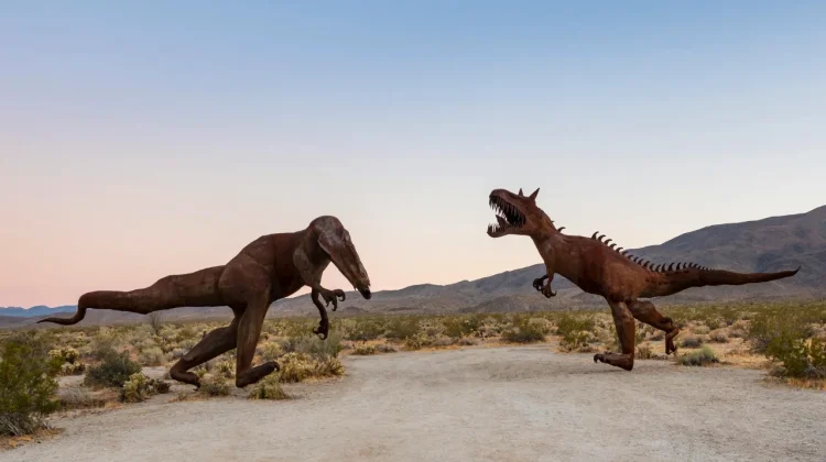 Ekspedisi Gurun Sahara Temukan Fosil Dinosaurus Raksasa