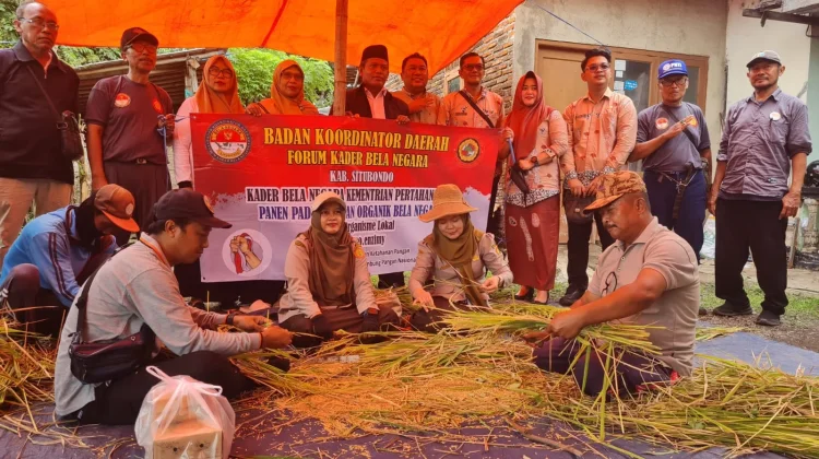 Produksi Padi Semi Organik di Situbondo Capai 8 ton per Hektare