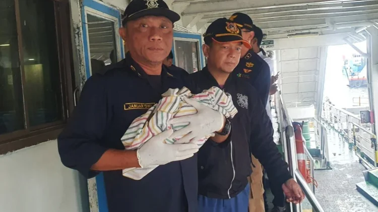 Bayi Lahir Darurat di KMP Satria Nusantara