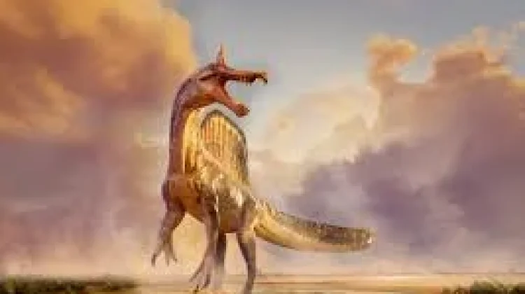 Fosil Spesies Baru Dinosaurus Raksasa Spinosaurus Ditemukan di Niger