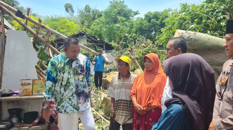Rumah Pasutri Lansia Ambruik Tertimpa Pohon Randu