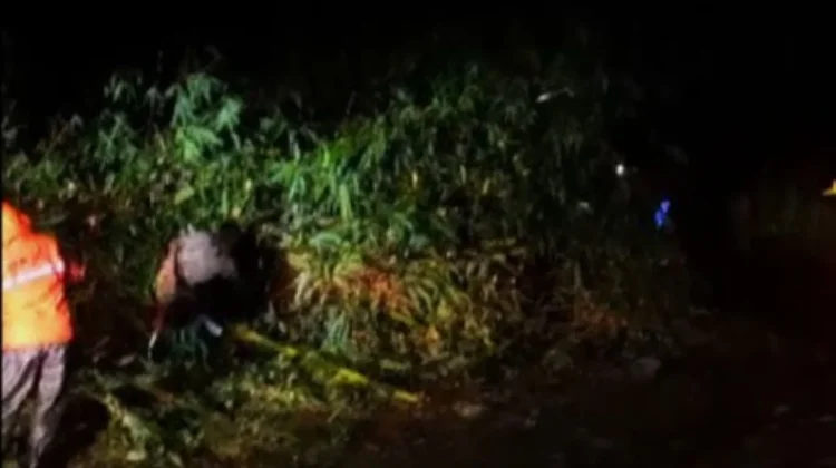 Angin Kencang Rusak 57 Rumah di Banyuwangi