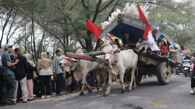 Arak-Arakan Pegon Semarakkan Lebaran Ketupat di Pantai Watu Ulo