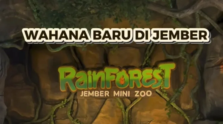 Wahana Rain Forest di Jember Mini Zoo : Sajikan Eksplorasi Satwa dan Zona Edukasi