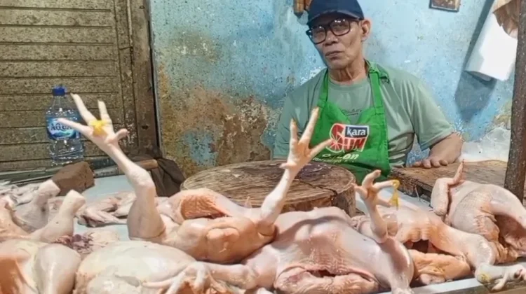 Harga Daging Ayam Turun Drastis Pasca Lebaran