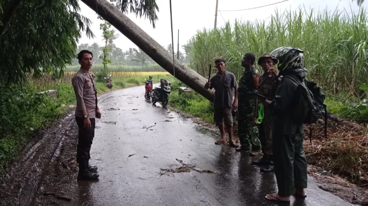 Polisi Bersihkan Material Sisa Puting Beliung di Kerang
