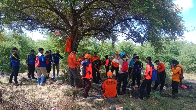 Penggembala Sapi yang Hilang di Hutan belum Ditemukan