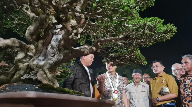 Festival Bonsai Nasional Dibuka oleh Prof Zudan