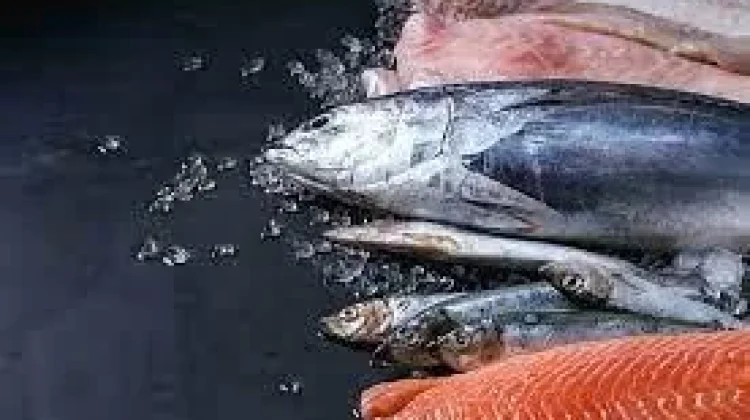 7 makanan Anti-inflamasi yang Bantu Jaga Tubuh