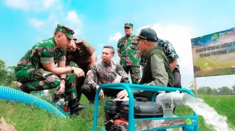 Lumajang Siapkan Perda Irigasi demi Jaga Lumbung Pangan